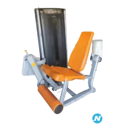 Leg extension