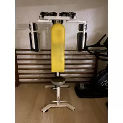 Machine à pectoraux