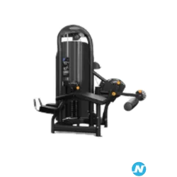 Leg curl Matrix