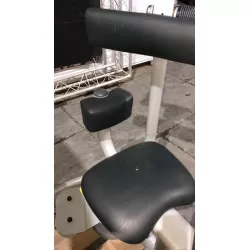Rotary torso Technogym