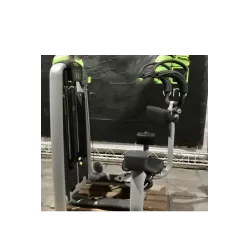 Rotary torso Technogym