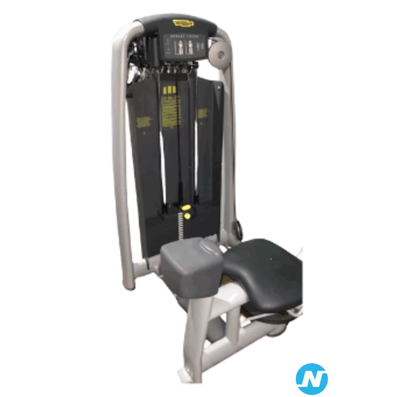 Rotary torso Technogym