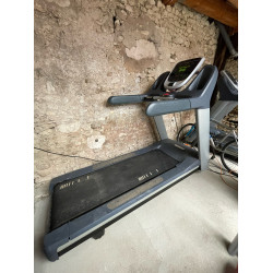 LOT 3 Tapis de course professionnel Precor TRM 833