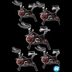 lot 5 spinning panatta
