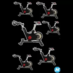 lot velos cycling ICG IC6