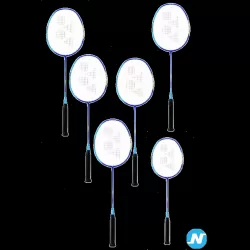 lot 6 raquettes yonex ASTROX