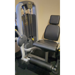 Leg Extension Gamme Technogym