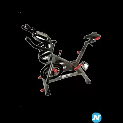 Schwinn 800IC