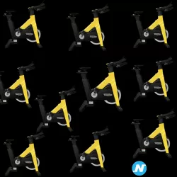 Lot de 20 vélos Stages Technogym Group cycle connect - Argent ou jaune