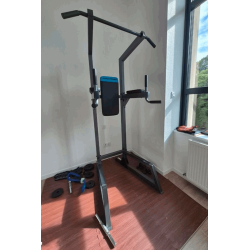 Chaise Romaine "POWER TOWER" Marque PROFORM