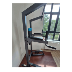 Chaise Romaine "POWER TOWER" Marque PROFORM ProForm - 3