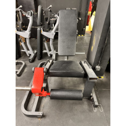 Leg Extension