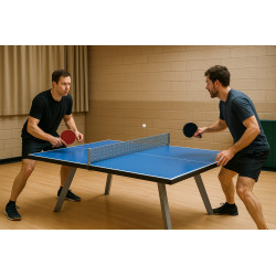 Table de ping pong