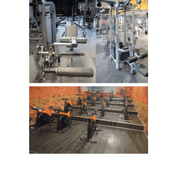 lot musculation cardio de qualité