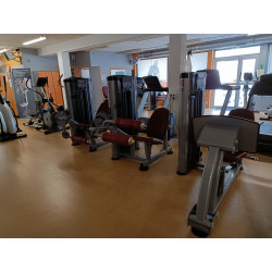 LOT APPAREILS MUSCULATION ET CARDIO PROFESSIONNELS