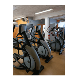 LOT APPAREILS MUSCULATION ET CARDIO PROFESSIONNELS