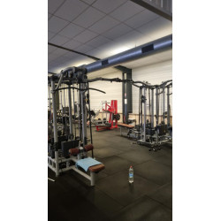 LOT MUSCULATION TECHNOGYM & MARQUES DIVERSES