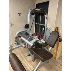 machine à ischios assis