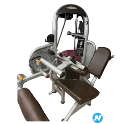 machine à ischios assis