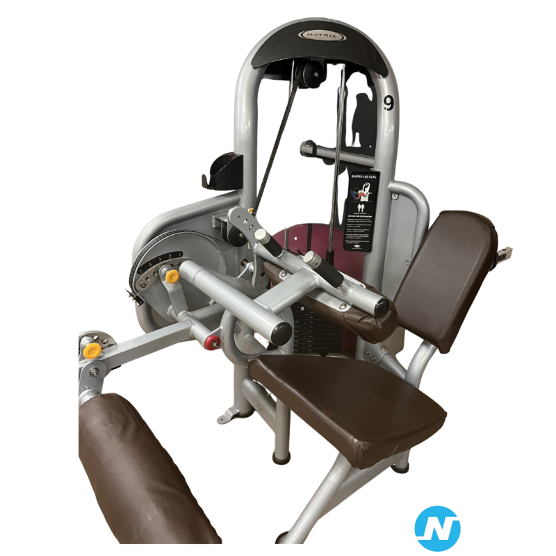 machine à ischios assis