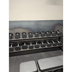 Lot dumbbells 4 à 36 kg Technogym