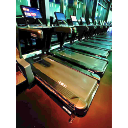 LOT PREMIUM TECHNOGYM ARTIS REVISE