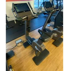 LOT PREMIUM TECHNOGYM ARTIS REVISE