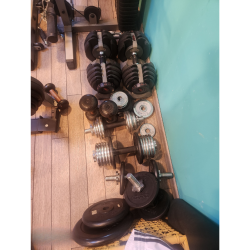 LOT COMPLET APPAREILS TECHNOGYM / BODYSOLID ET CONCEPT2