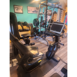 LOT COMPLET APPAREILS TECHNOGYM / BODYSOLID ET CONCEPT2