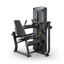 LEG CURL VERSA MATRIX RECONDITIONNEE et GARANTIE