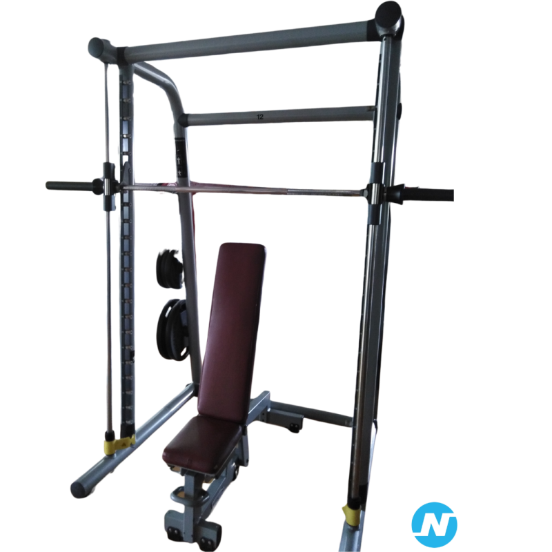CADRE GUIDE - MULTI POWER / SMITH MACHINE TECHNOGYM PROFESSIONNELLE
