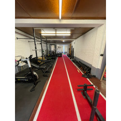 Sled + Sled track
