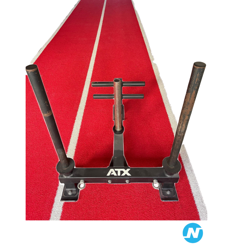 Sled + Sled track