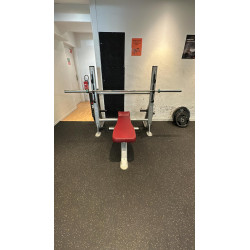 lot bancs musculation Panatta