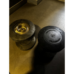 Haltères Technogym