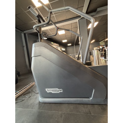 Climb Technogym Très bon état
