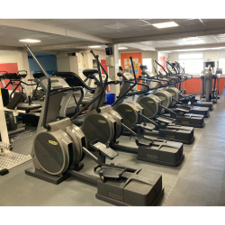 LOT COMPLET DE SALLE DE SPORT PROFESSIONNELLE TECHNOGYM & STAR TRAC