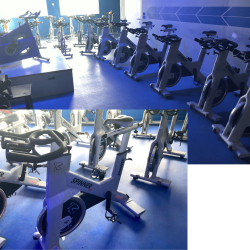 LOT COMPLET DE SALLE DE SPORT PROFESSIONNELLE TECHNOGYM & STAR TRAC