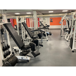 LOT COMPLET DE SALLE DE SPORT PROFESSIONNELLE TECHNOGYM & STAR TRAC