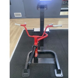 T-Bar Row Sterling Occasion – Machine Dos Professionnelle à Charge Libre