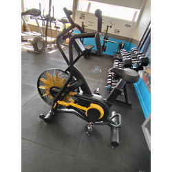 Air Bike Renegade