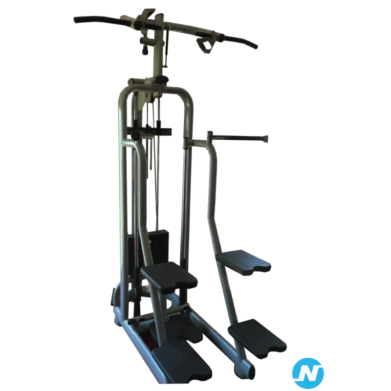 easy chin dip technogym