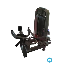 Upper back musculation