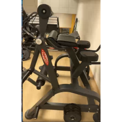Reverse Hyperextension Panatta