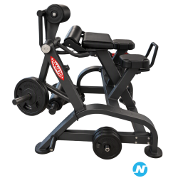 Reverse Hyperextension Panatta