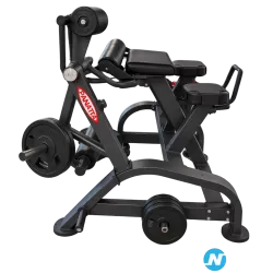 Reverse Hyperextension Panatta
