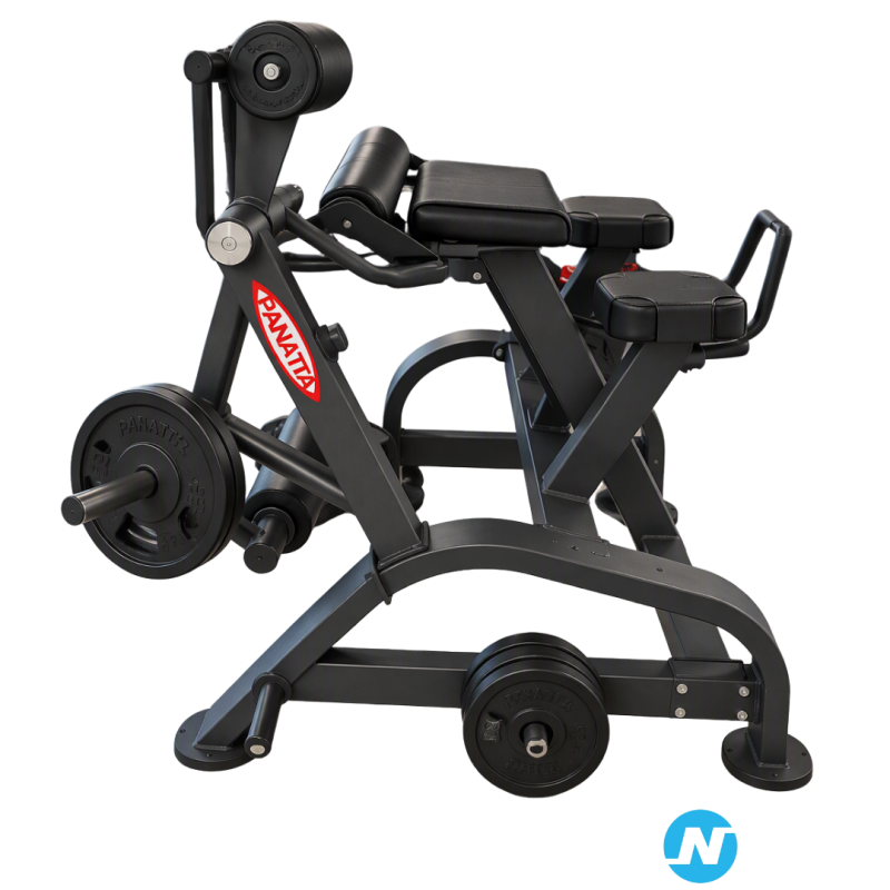 Reverse Hyperextension Panatta