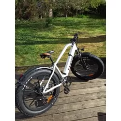 Fat Bike Electrique VTT VAE
