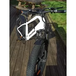 Fat Bike Electrique VTT VAE