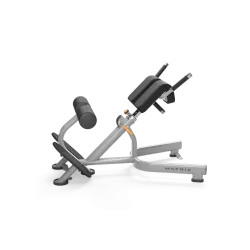Matrix MG Back Extension Bench Reconditionné